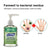 Antiseptic Hand Sanitizer Portable No-wash quick-drying Press Hand Sanitizer Soothing Gel 59ML